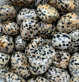 Jasper (Dalmation) ~ Tumbled