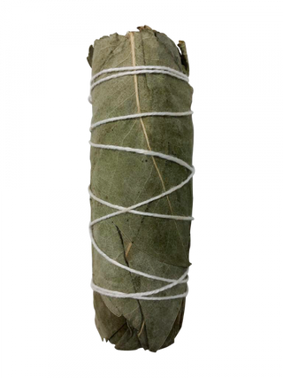 Eucalyptus ~ 4" Bundle