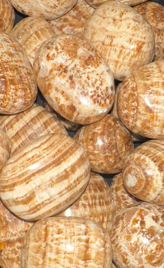 Aragonite (Brown) ~ Tumbled