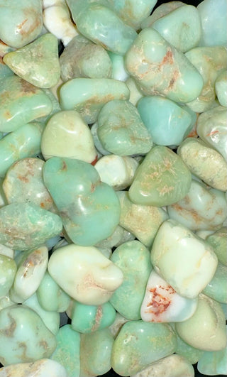 Chrysoprase ~ Tumbled