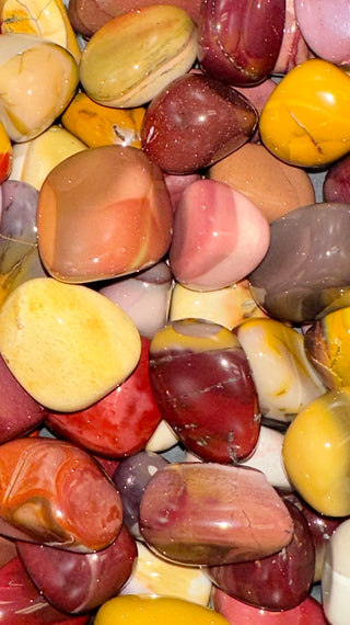 Jasper (Mookite) ~ Tumbled