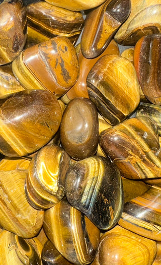Tiger Eye (Gold) ~ Tumbled