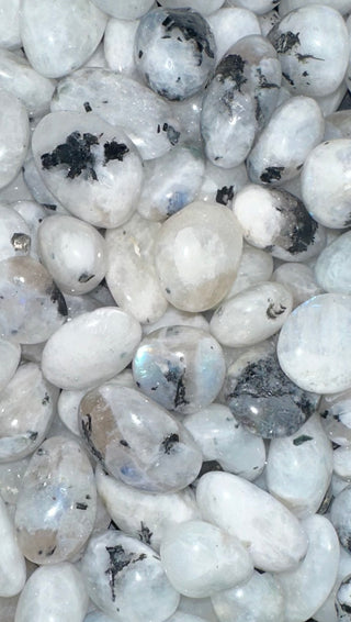 Moonstone (Rainbow) ~ Tumbled