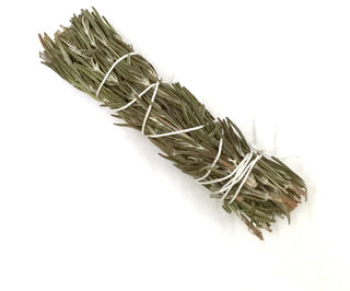 Rosemary ~ 4" Bundle